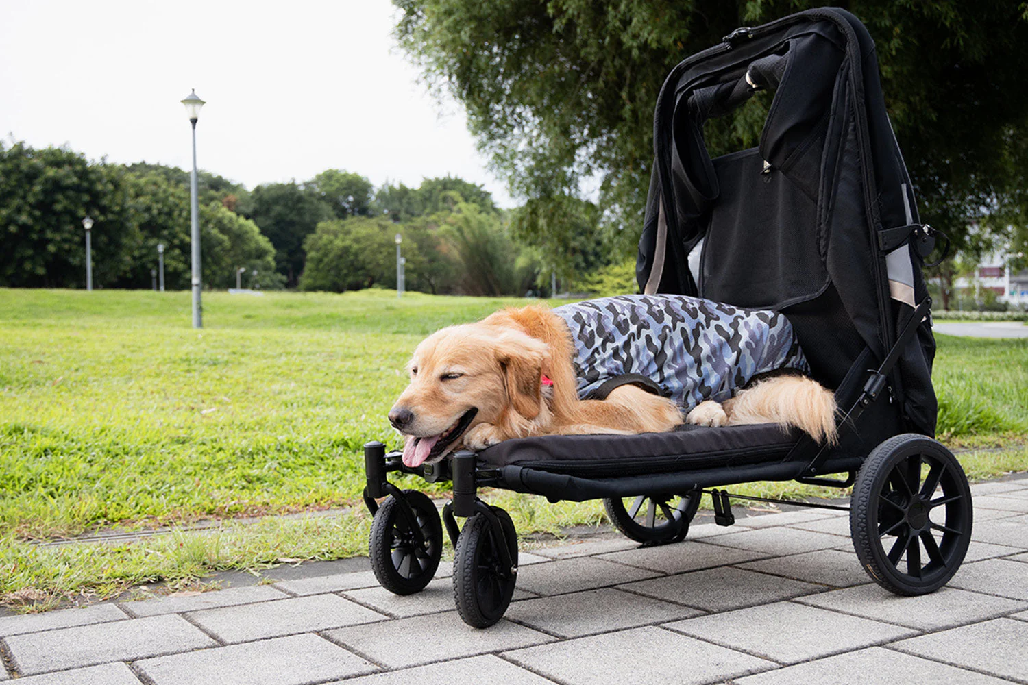 Large Pet Strollers for Dogs: The Perfect Mobility Solution for Your Four-Legged Companion