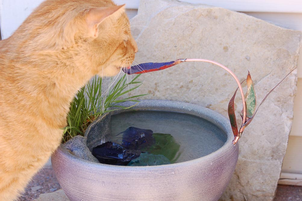 The Natural Charm of a Stone Outdoor Pet Drinking Fountain: A Perfect Blend of Aesthetics and Functionality